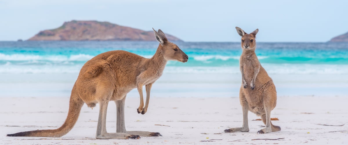 Top 11 Best Beaches in Esperance, WA Interactive Map